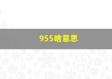 955啥意思