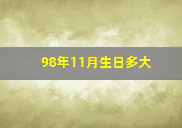 98年11月生日多大