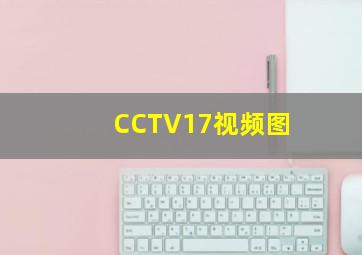 CCTV17视频图