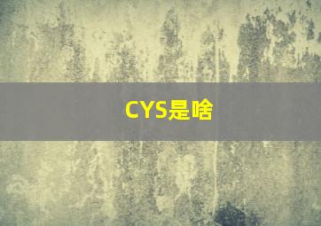 CYS是啥