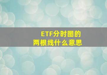 ETF分时图的两根线什么意思