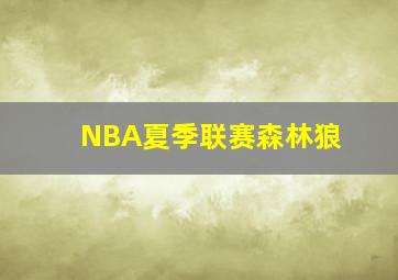 NBA夏季联赛森林狼