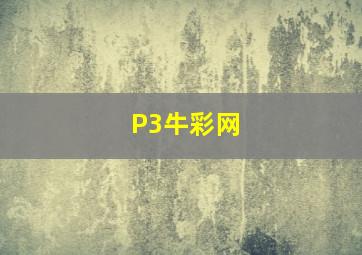 P3牛彩网