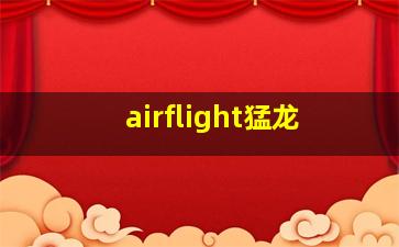 airflight猛龙