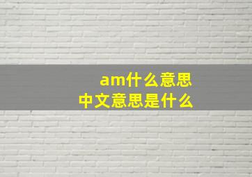 am什么意思中文意思是什么