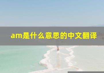 am是什么意思的中文翻译