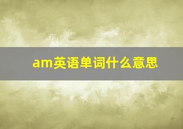 am英语单词什么意思