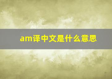 am译中文是什么意思