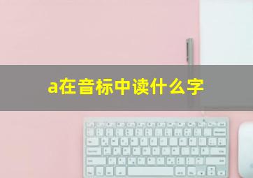 a在音标中读什么字