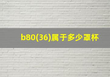 b80(36)属于多少罩杯