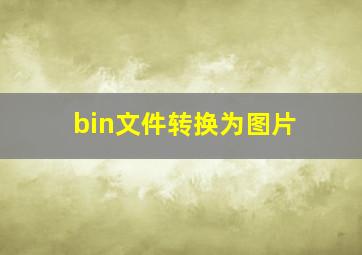 bin文件转换为图片