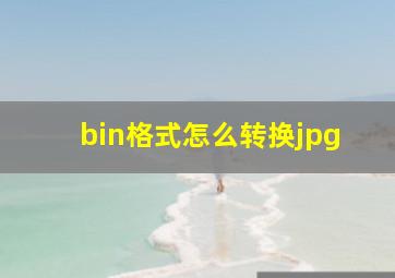 bin格式怎么转换jpg