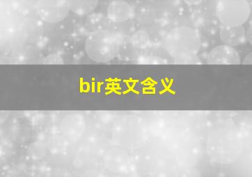 bir英文含义