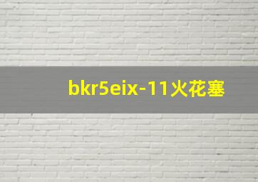 bkr5eix-11火花塞