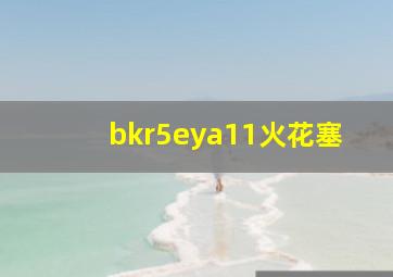 bkr5eya11火花塞