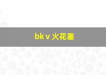 bkⅴ火花塞