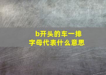 b开头的车一排字母代表什么意思