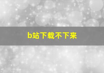 b站下载不下来