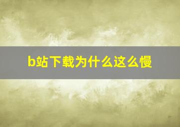 b站下载为什么这么慢