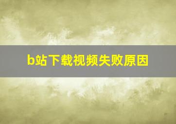 b站下载视频失败原因