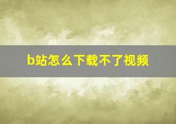 b站怎么下载不了视频