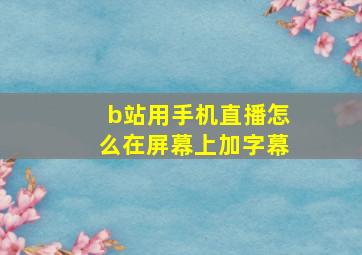 b站用手机直播怎么在屏幕上加字幕