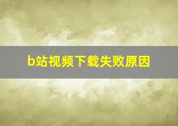 b站视频下载失败原因