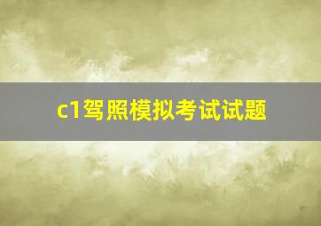 c1驾照模拟考试试题