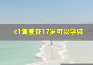 c1驾驶证17岁可以学嘛