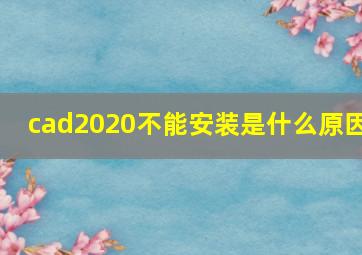 cad2020不能安装是什么原因