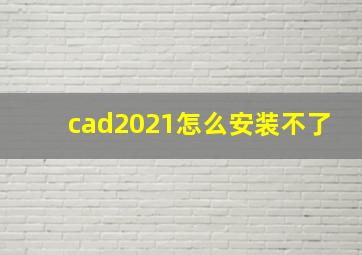 cad2021怎么安装不了