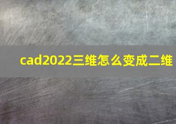 cad2022三维怎么变成二维