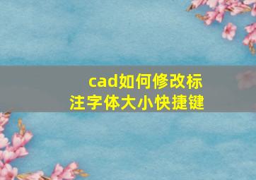 cad如何修改标注字体大小快捷键