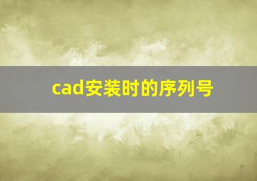 cad安装时的序列号