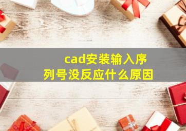 cad安装输入序列号没反应什么原因