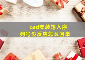 cad安装输入序列号没反应怎么回事