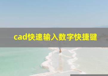 cad快速输入数字快捷键