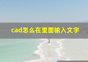 cad怎么在里面输入文字