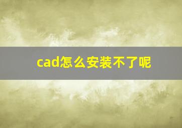 cad怎么安装不了呢