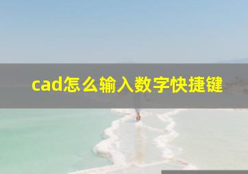 cad怎么输入数字快捷键