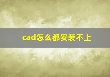 cad怎么都安装不上