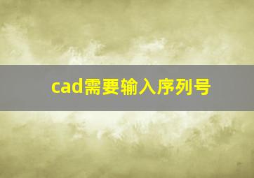 cad需要输入序列号