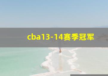 cba13-14赛季冠军