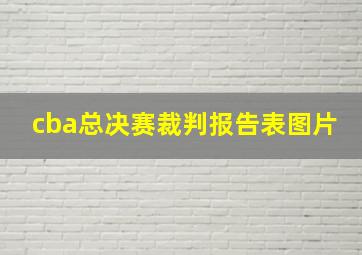 cba总决赛裁判报告表图片