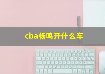 cba杨鸣开什么车