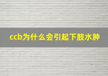 ccb为什么会引起下肢水肿