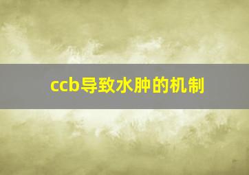 ccb导致水肿的机制