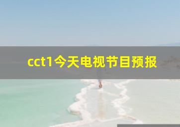 cct1今天电视节目预报