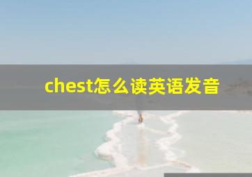 chest怎么读英语发音