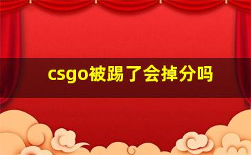 csgo被踢了会掉分吗